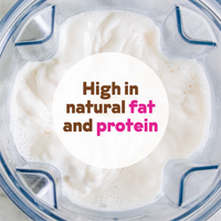 Cashew Milk Base 2-Pack