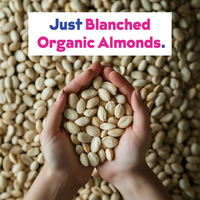 Organic Almond Milk Base 2-Pack