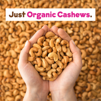 JOI Unsweetened Organic Cashew Milk Base Concentrate - Vegan, Kosher, Keto-Friendly. 2 Pack In Glass Jars, Makes 14 Quarts. Perfect For Smoothies And Homemade Milk. Sugar Free, Zero Additivies, No Seed