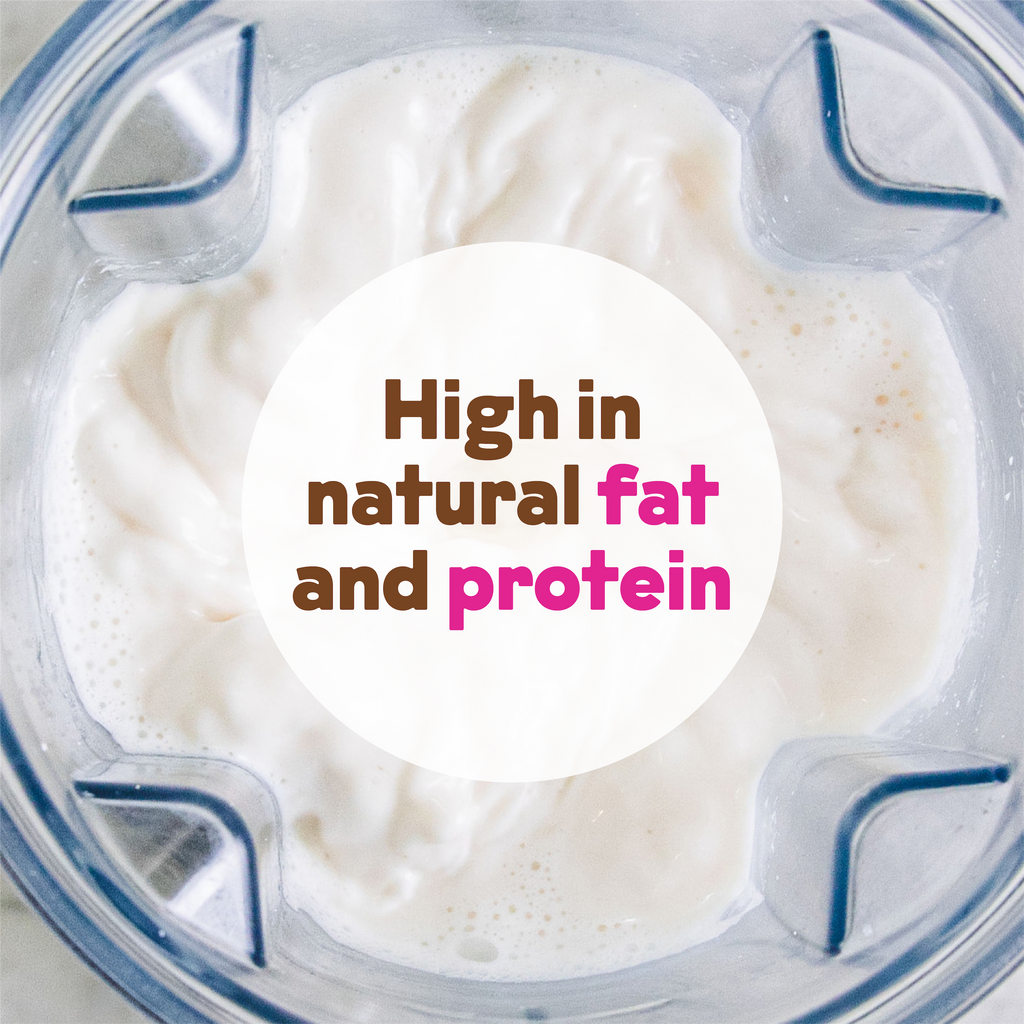 Organic Cashew Milk Base