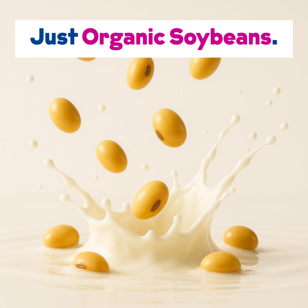 Organic Soy Milk Powder 4-Pack