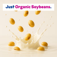 Organic Soy Milk Powder 4-Pack